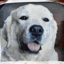 Работа «Nika»