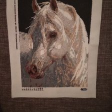Работа «Білогрива конячка»
