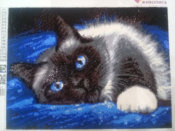 Работа «алмазная мозаика "Сиамская красавица"»