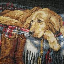 Работа «Собака на пледе»