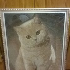 Работа «№75910»