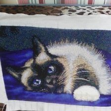 Работа «кот»