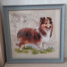 Работа «Шелти от "Риолис"»