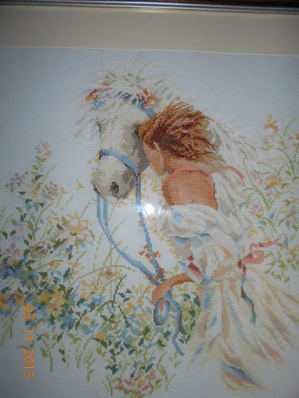 Работа «девушка и лошадь»
