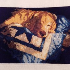 Работа «Спящий пес»