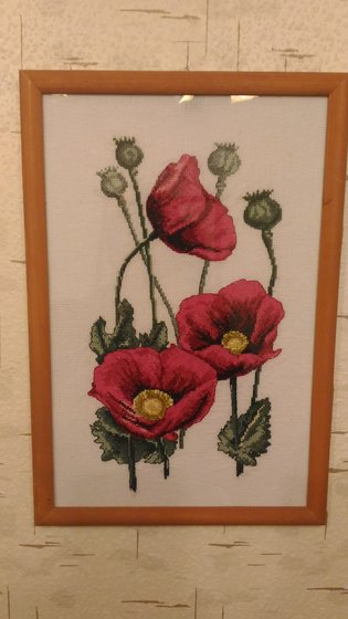 Работа «Маки»