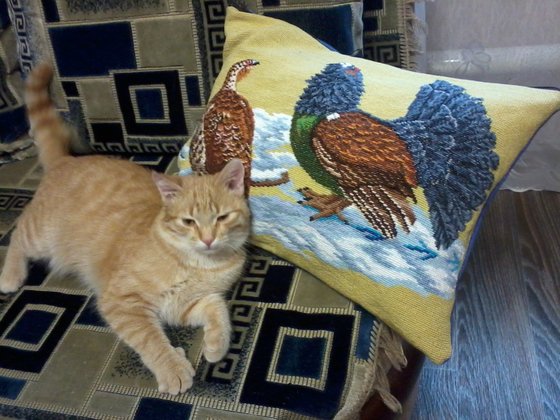 Работа «№76337»