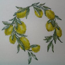 Работа «лимончики»