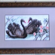 Работа «Черные лебеди»