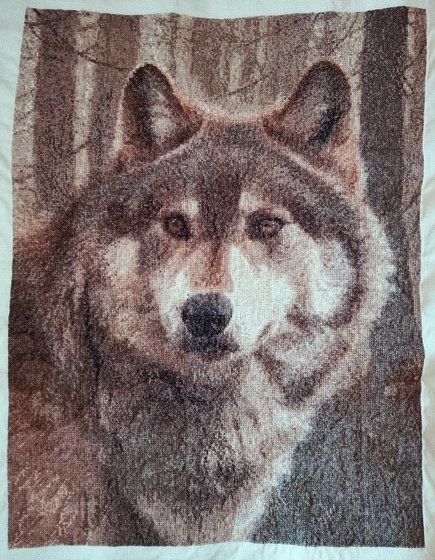 Работа «Волк»