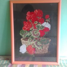 Работа «Герань.»