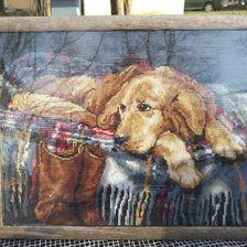 Работа «Собака на пледе.»