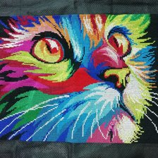 Работа «Котик»