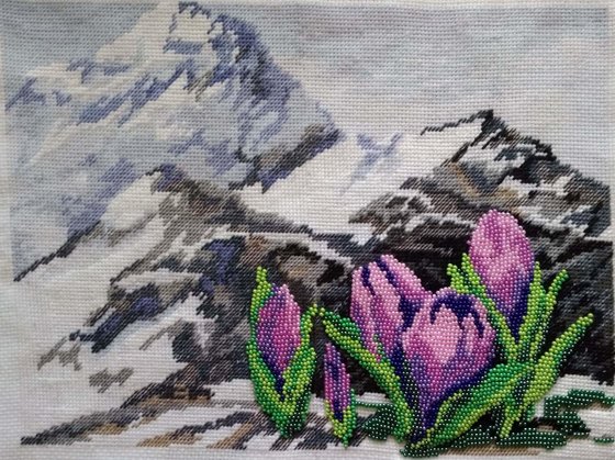 Работа «Альпийские цветы»