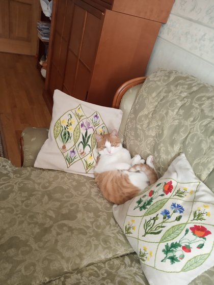 Работа «№78189»