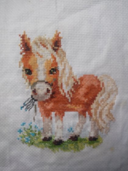 Работа «лошадка»