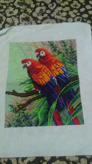 Работа «Попугашки»