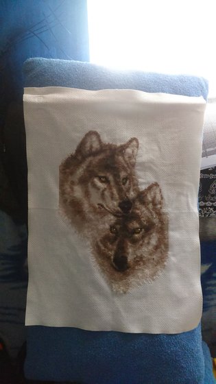 Работа «Волки»