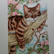 Работа «Спящий котёнок»