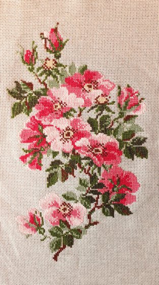 Работа «Риолис. Шиповник.»