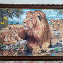 Работа «семья лвов»