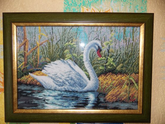 Работа «№78729»