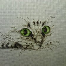 Работа «Взгляд КОТА»