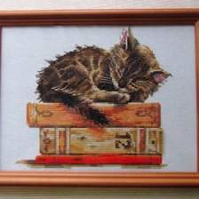 Работа «Сны Мурлыки»