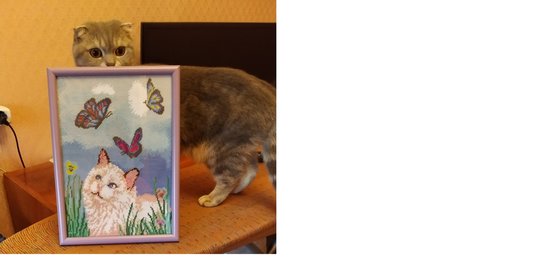 Работа «Киса в подарок»