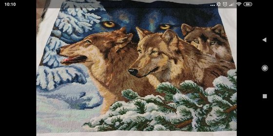 Работа «Золотое руно "волчий взгляд"»