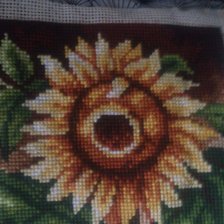 Работа «№79200»