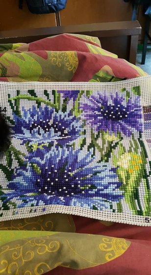 Работа «№79237»