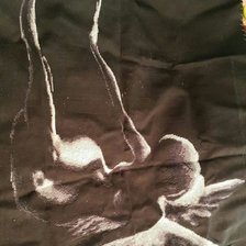 Работа «№79239»