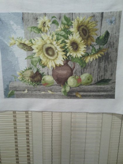 Работа «№79297»