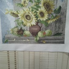 Работа «№79297»