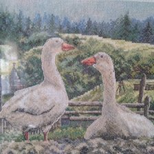 Работа «Гуси»