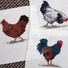 Работа «Вот такой "курятник" получился...»