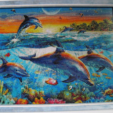 Работа «Адриан Честерман (Adrian Chesterman) «Залив дельфинов»»