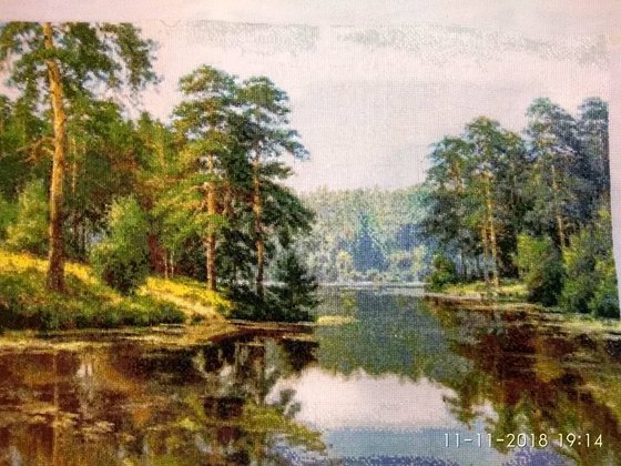 Работа «Ріка в лісі»