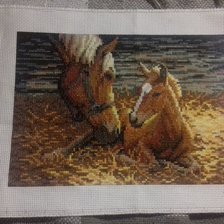 Работа «Жеребенок и мама»