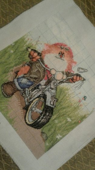 Работа «Котоциклист»