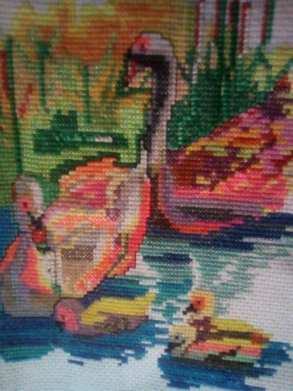 Работа «Cisnes de Colores, año 2017»