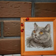 Работа «Британский кот»