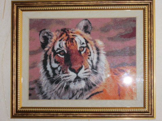 Работа «"Тигр " журнал Настуня»