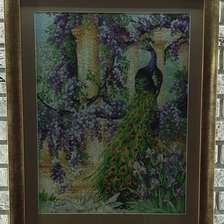 Работа «Павлин»