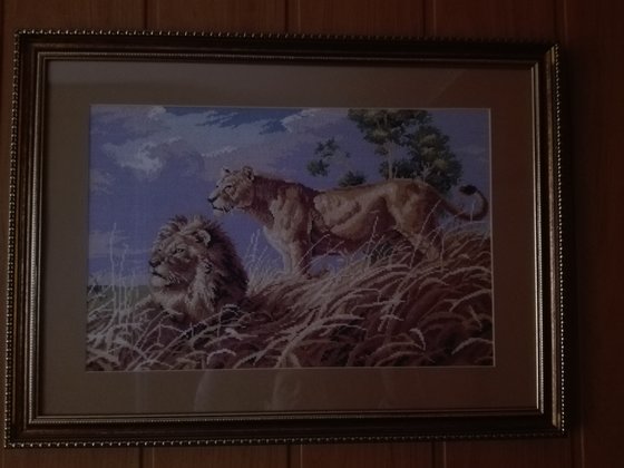 Работа «№80698»