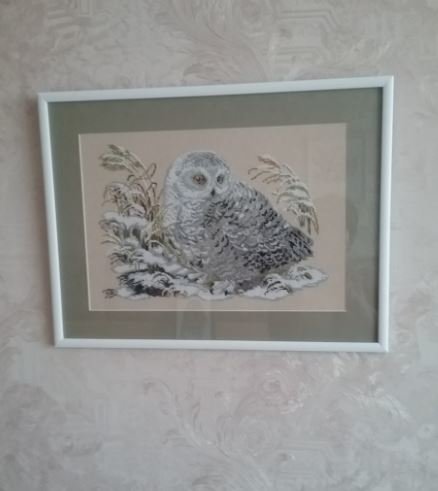 Работа «Полярная сова»