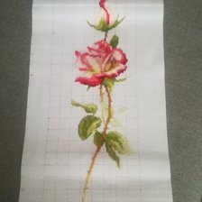 Работа «Róża»