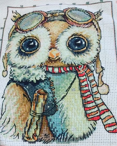 Работа «Совяш»