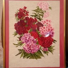 Работа «турецкая гвоздика»